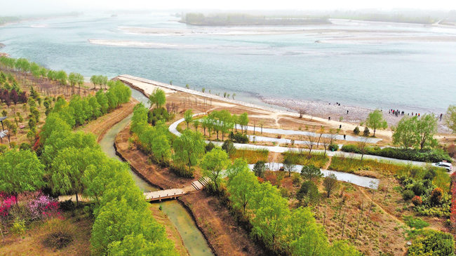 黄河生态廊道春意四格图