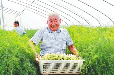 巩固拓展脱贫攻坚成果书写乡村壮美画卷