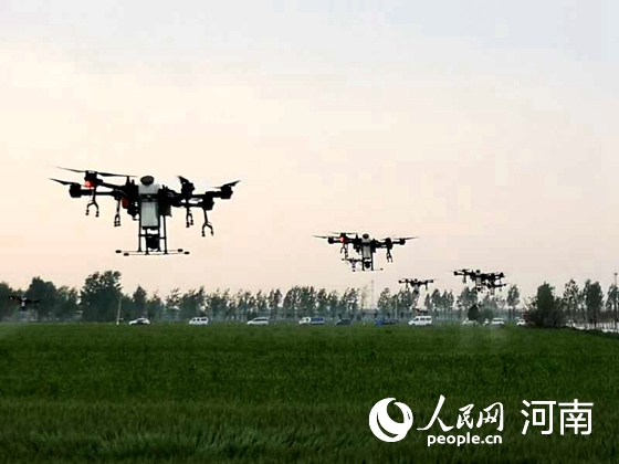 防病保糧！河南堅決打好小麥條銹病赤霉病防治殲滅戰