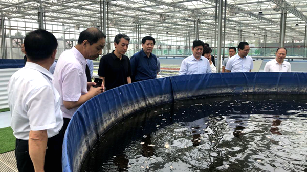 天下水产手艺推行总站来豫展开水产手艺推行重点任务专题调研勾当 天下水产手艺推行总站来豫展开水产手艺推行重点任务专题调研勾当