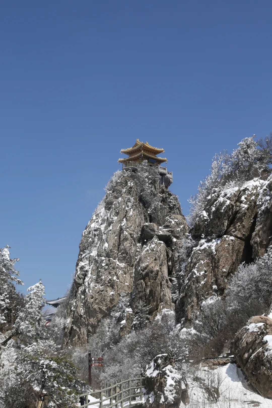 穿越时间长河，云赏老君山历年雪景