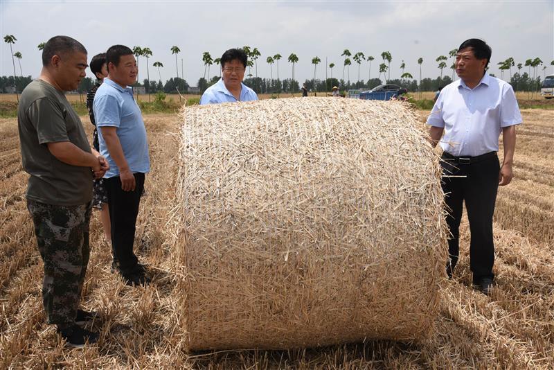 奋战三夏河南省汝南县打牢根基保粮食丰产丰收