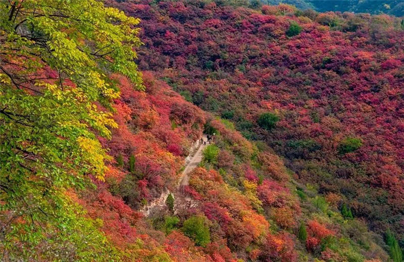 汝州风景图片图片