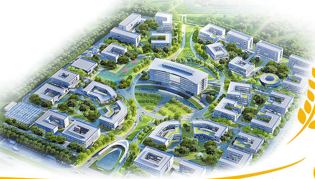 新乡“中国种谷” 迎来首批投资客