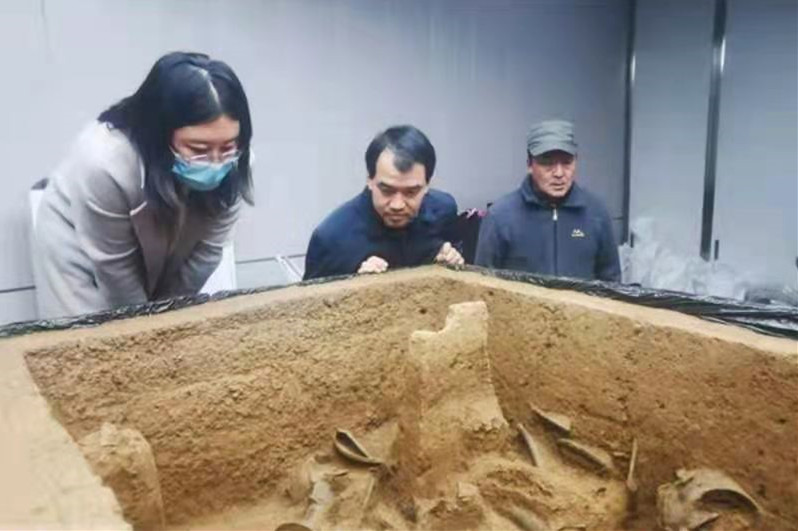 二里头遗址发现高规格夏代墓葬 首次发现蝉形玉器