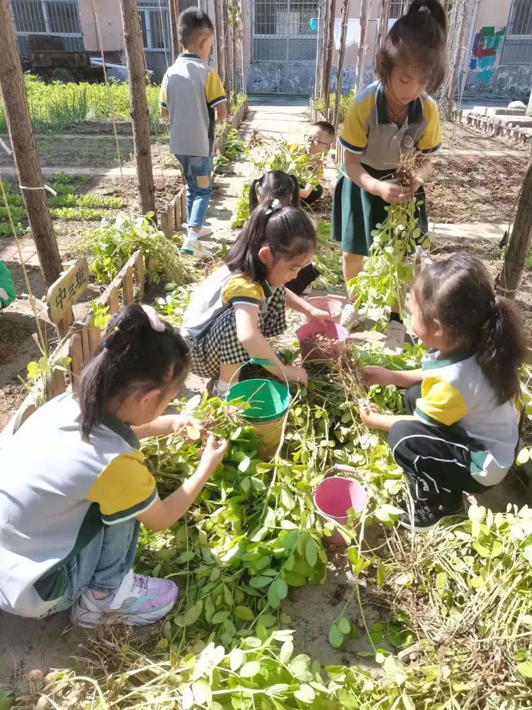 致敬劳动，礼赞丰收