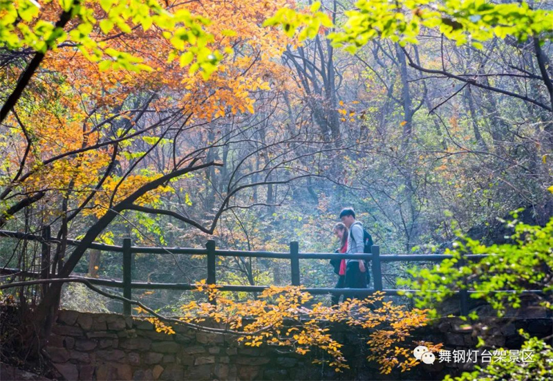 灯台架景区邀您共赴秋日之约