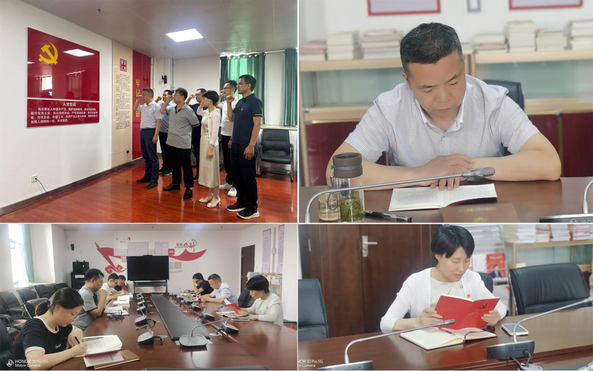 【主题党日】省工业和信息化厅各级党组织六月份开展“践履初心‘迎七一’学纪正风担使命”主题党日系列活动（一）