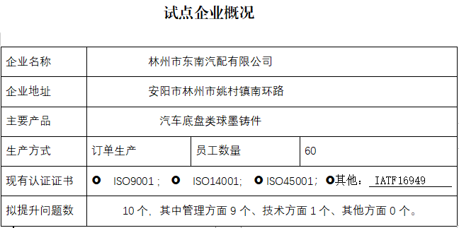 林州市东南汽配有限公司