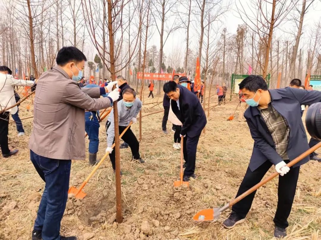 单位干部职工277人,到国有息县林场杨店林区参加春季全民义务植树活动