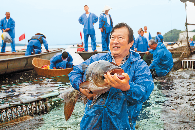 鱼跃南湾