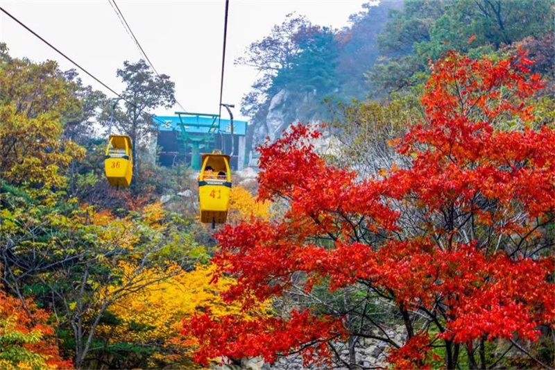 【行走河南·读懂中国】神话仙境 秋韵尧山