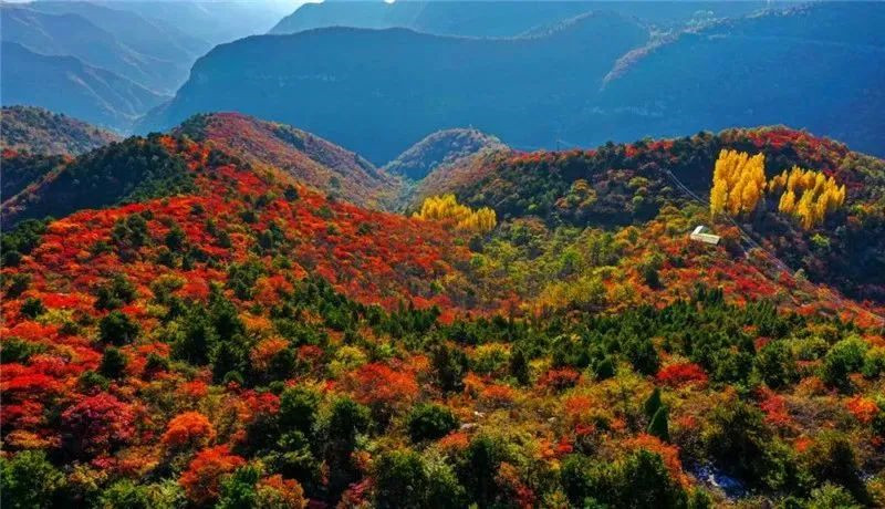打卡爱情圣地青龙峡 畅享秋日漫游时光