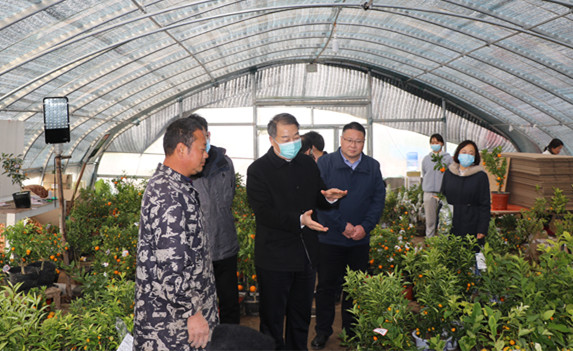省住房城乡建设厅党组书记、厅长赵庚辰到<br>上蔡县上岗村调研指导工作