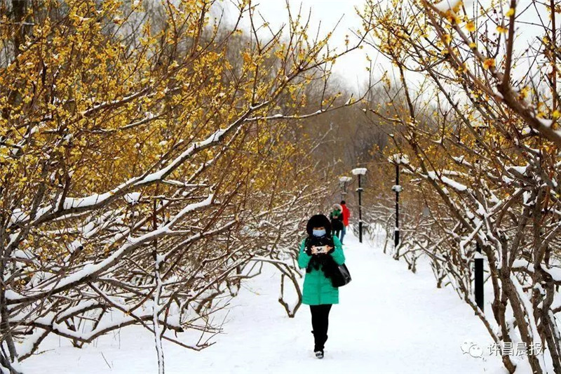 雪后许昌 一帧一画美出“天际”