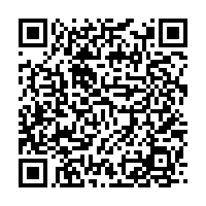 河南省营业性演出准予许可决定（410000522023000205）