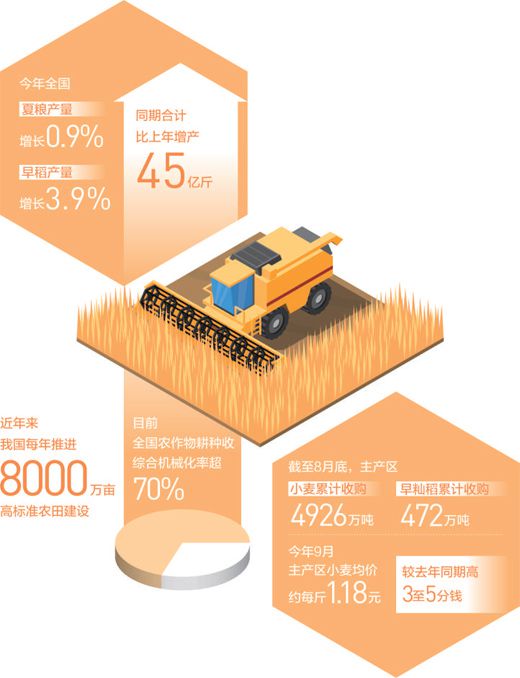 秋粮收获接近八成，丰收已成定局金秋季,粮食丰收有底气