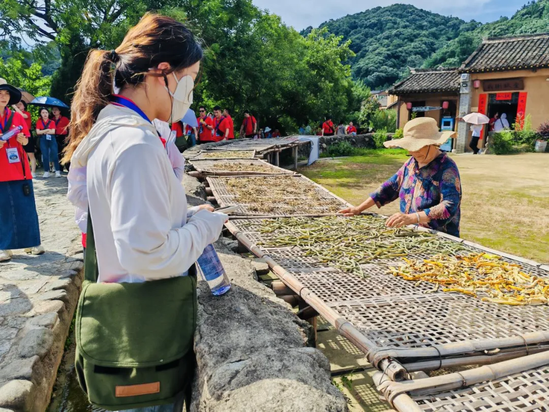 豫有引力青年行 | 河南机电职业学院师生追寻红色记忆，坚定责任担当