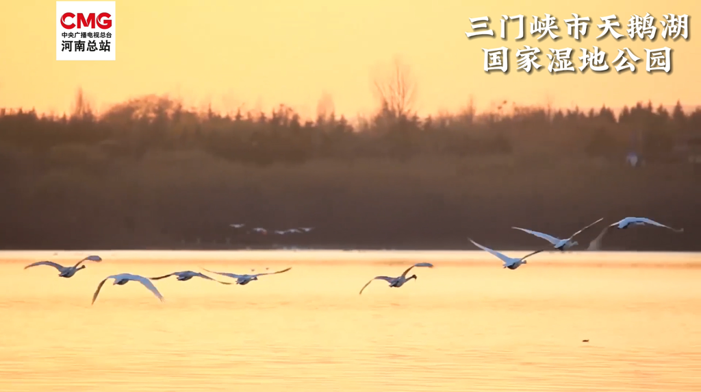 河南冬季限定美景已上线