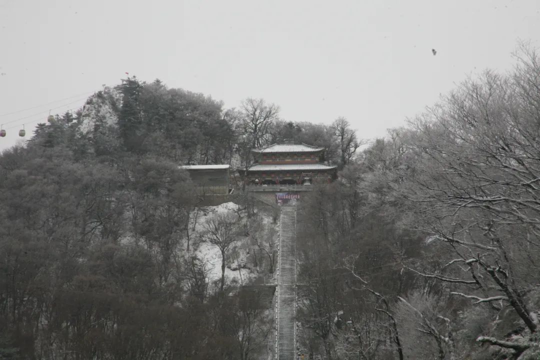 穿越时间长河，云赏老君山历年雪景