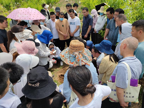 【开封市】开封市召开农业农村系统外业调查与采样技术培训暨现场考核会