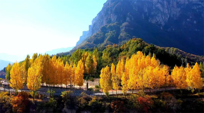 【行走河南·读懂中国】来自秋日石板岩的一封信：树树皆秋色 山山唯落晖