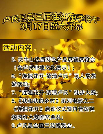 行走河南·读懂中国｜卢氏连翘花季14条精品赏花线路