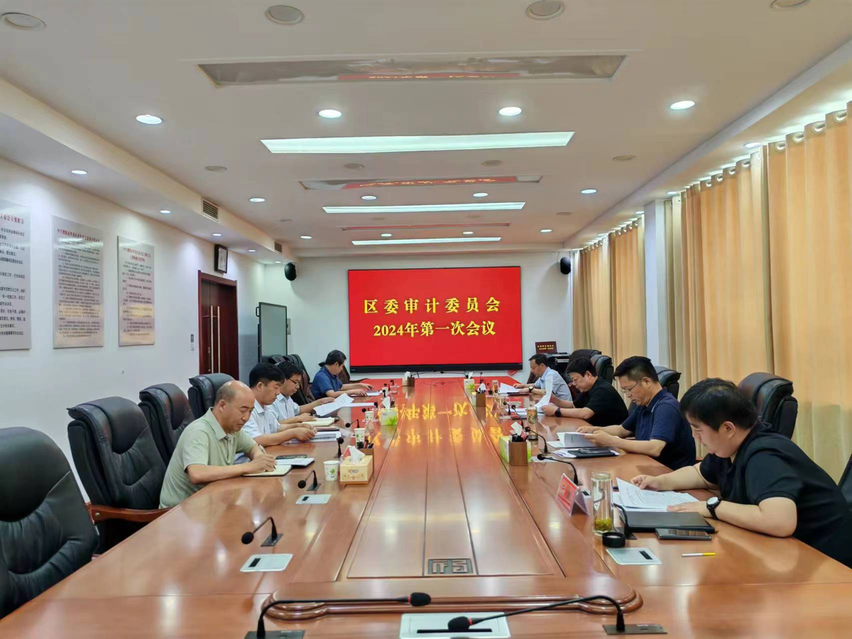 濮阳市华龙区召开区委审计委员会2024年第一次会议