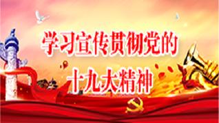 学习宣传贯彻党的十九大精神