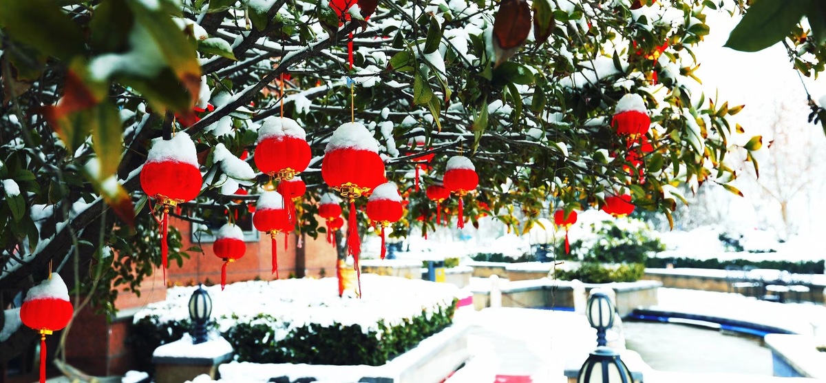 许昌：雪后初霁 景色旖旎