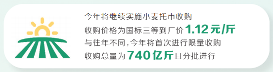 托市收购 卖粮可用“惠三农”APP预约了