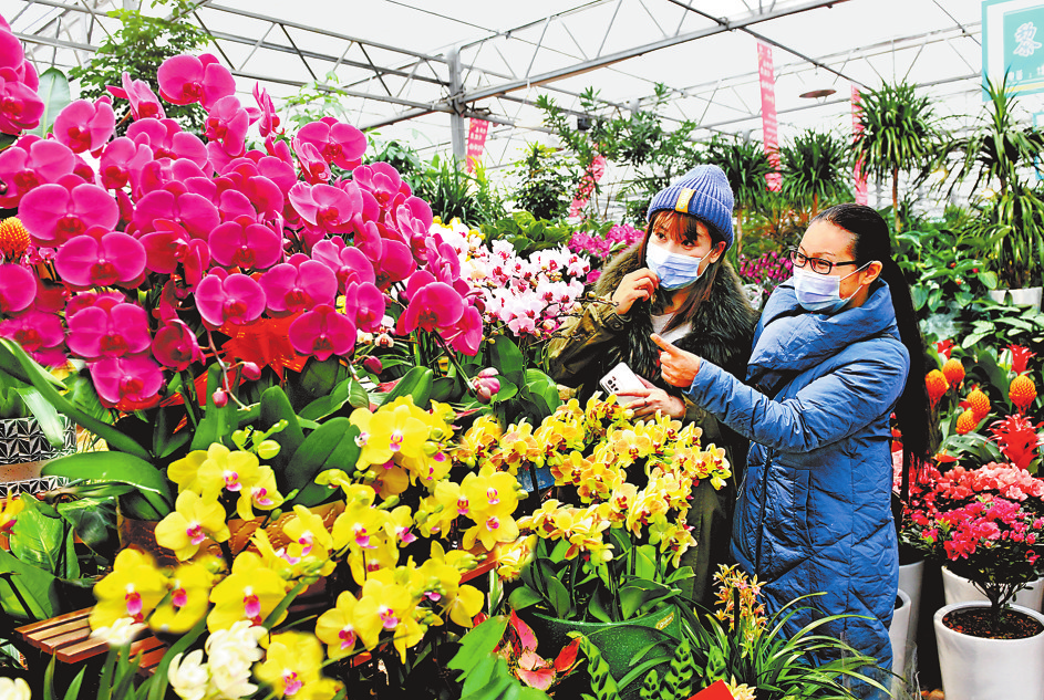 全省春节市场供应货足价稳