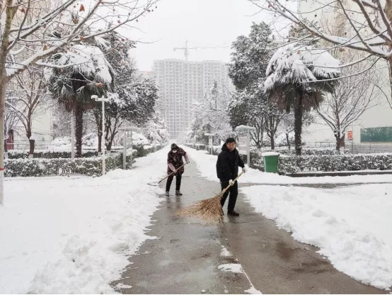 雪中人