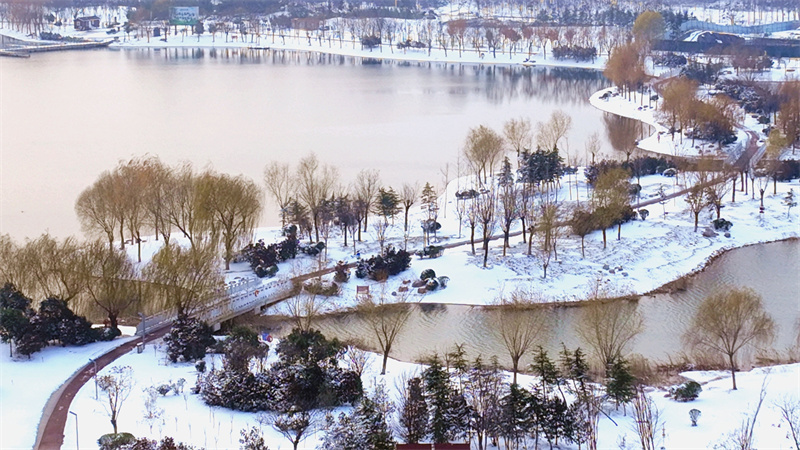 兰考：湿地雪韵美如画