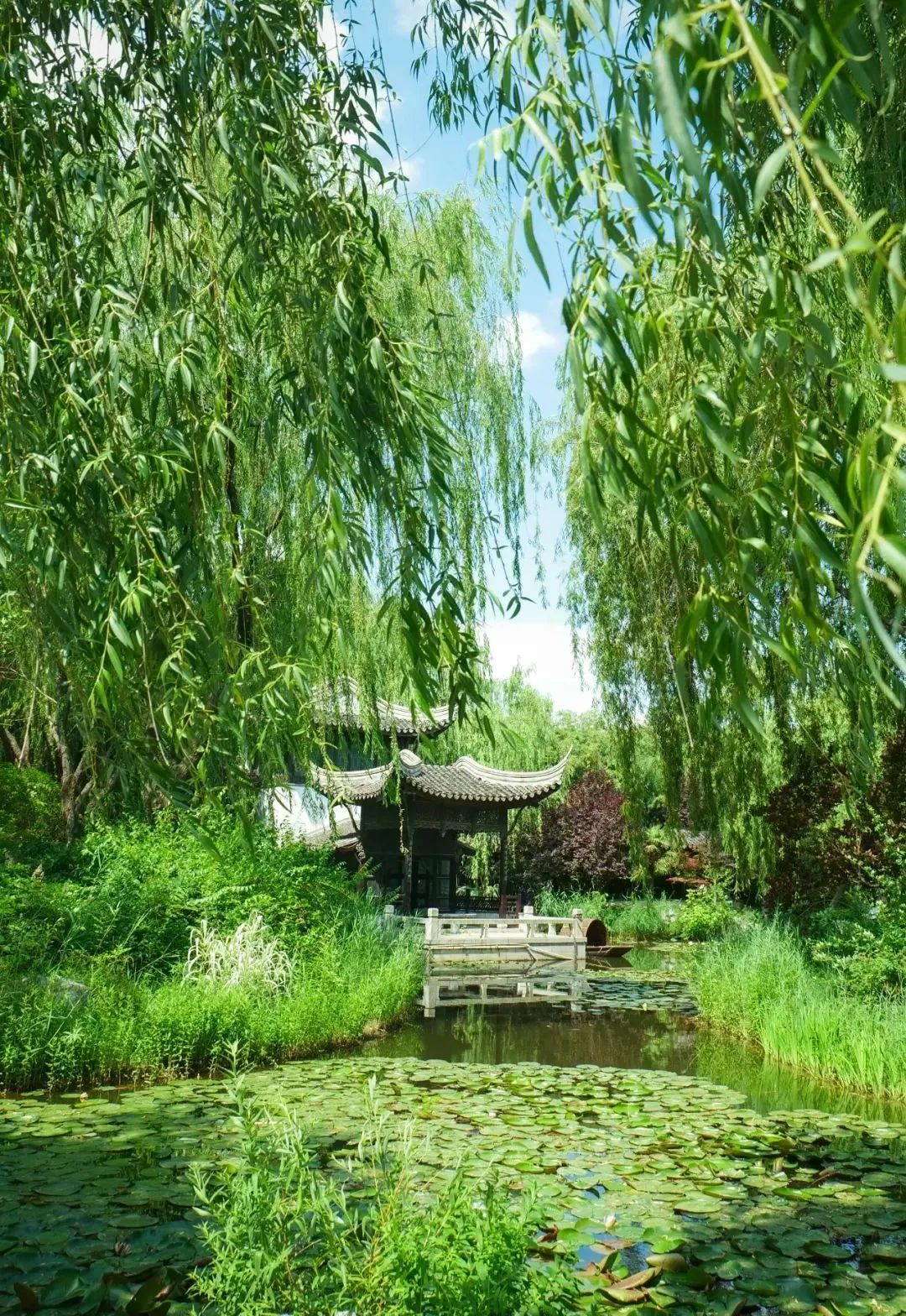 行走河南·读懂中国丨感受绿博园夏日的魅力