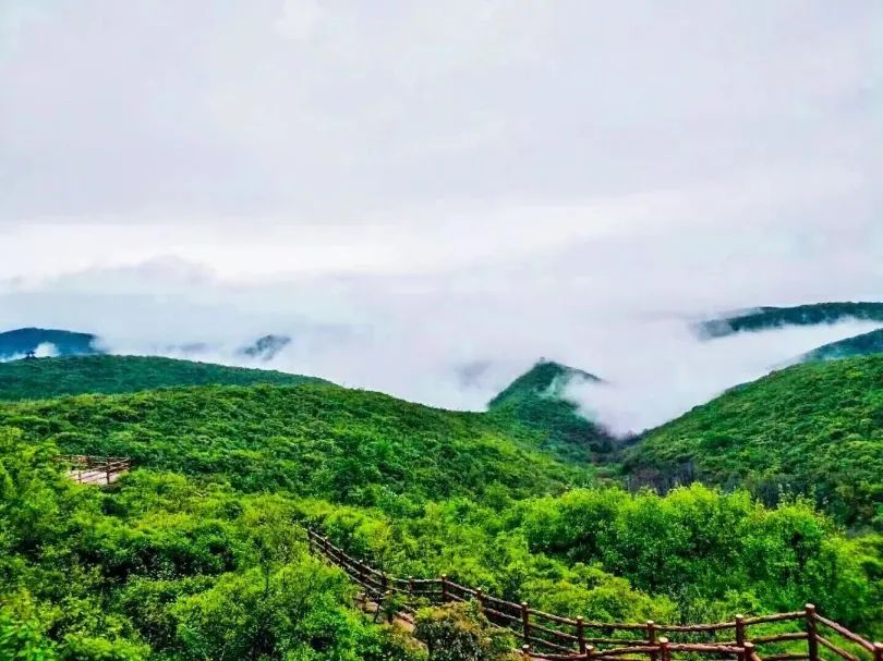 行走河南·读懂中国丨清明假期“趣”踏青 解锁青天河春光密码