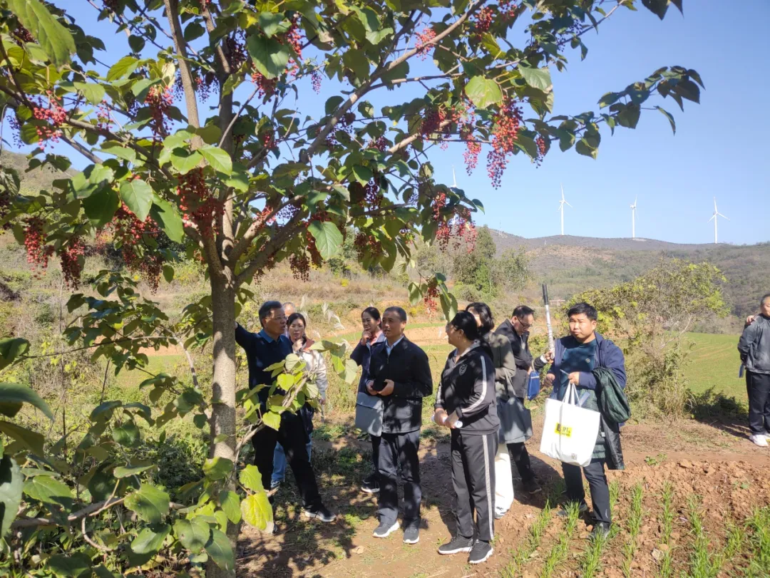 陕州区：专家组团会诊 助力林业产业发展