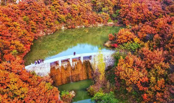 最美秋景不过枫叶红，巩义市实践“四美”战略 发展全域旅游插图3