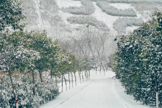 校园雪景