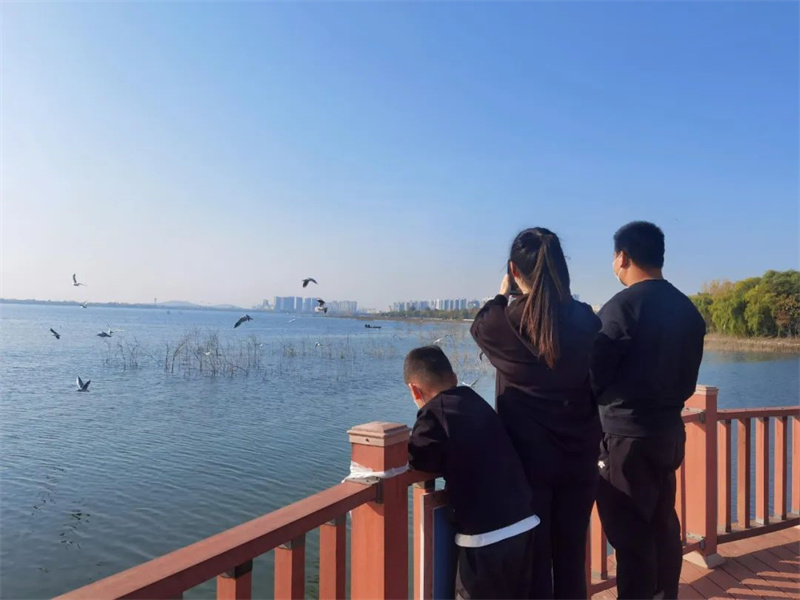 行走河南·读懂中国 | 平顶山：“生态名片”留鸥影