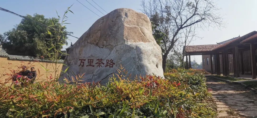 鹰城：古村+旅游，茶食乡村魅力大