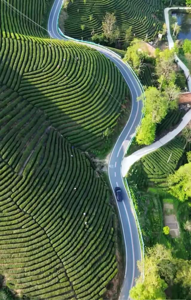 河南文旅博览会,郑州文旅博览会,河南文旅会,郑州文旅会,河南房车露营展,郑州房车露营展,河南户外用品展,郑州户外用品展