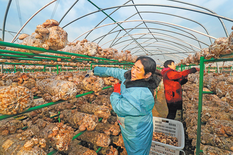 就業(yè)創(chuàng)業(yè)有“門路” 一技在手有“錢途” 河南省力促農(nóng)民工好就業(yè)、就好業(yè)，2020年新增農(nóng)村勞動力轉(zhuǎn)移就業(yè)45.81萬人 