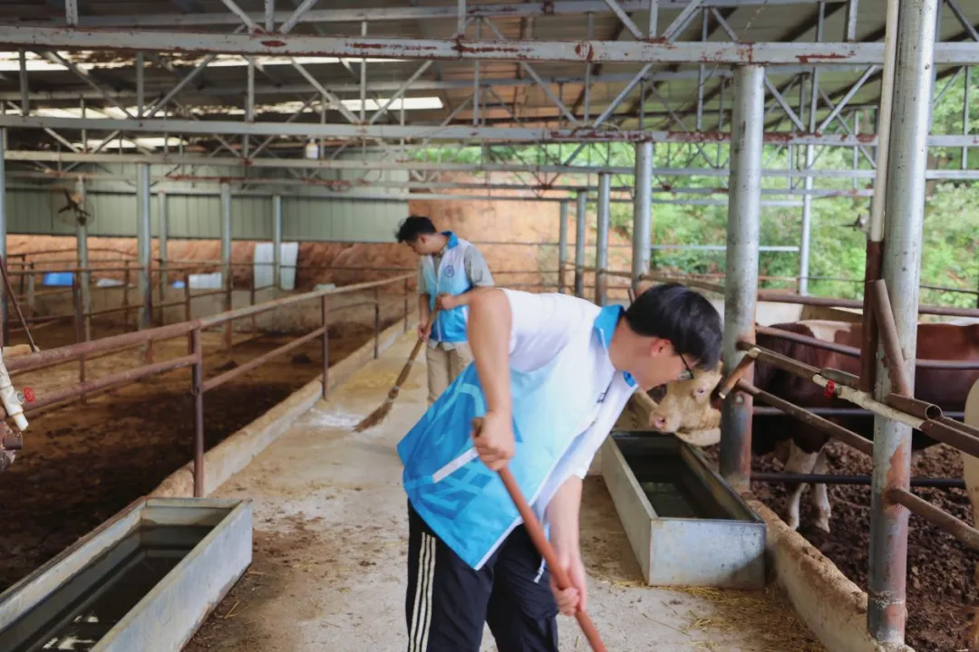 豫有引力青年行 | 郑州工商学院师生开展普法宣讲，助力乡村振兴