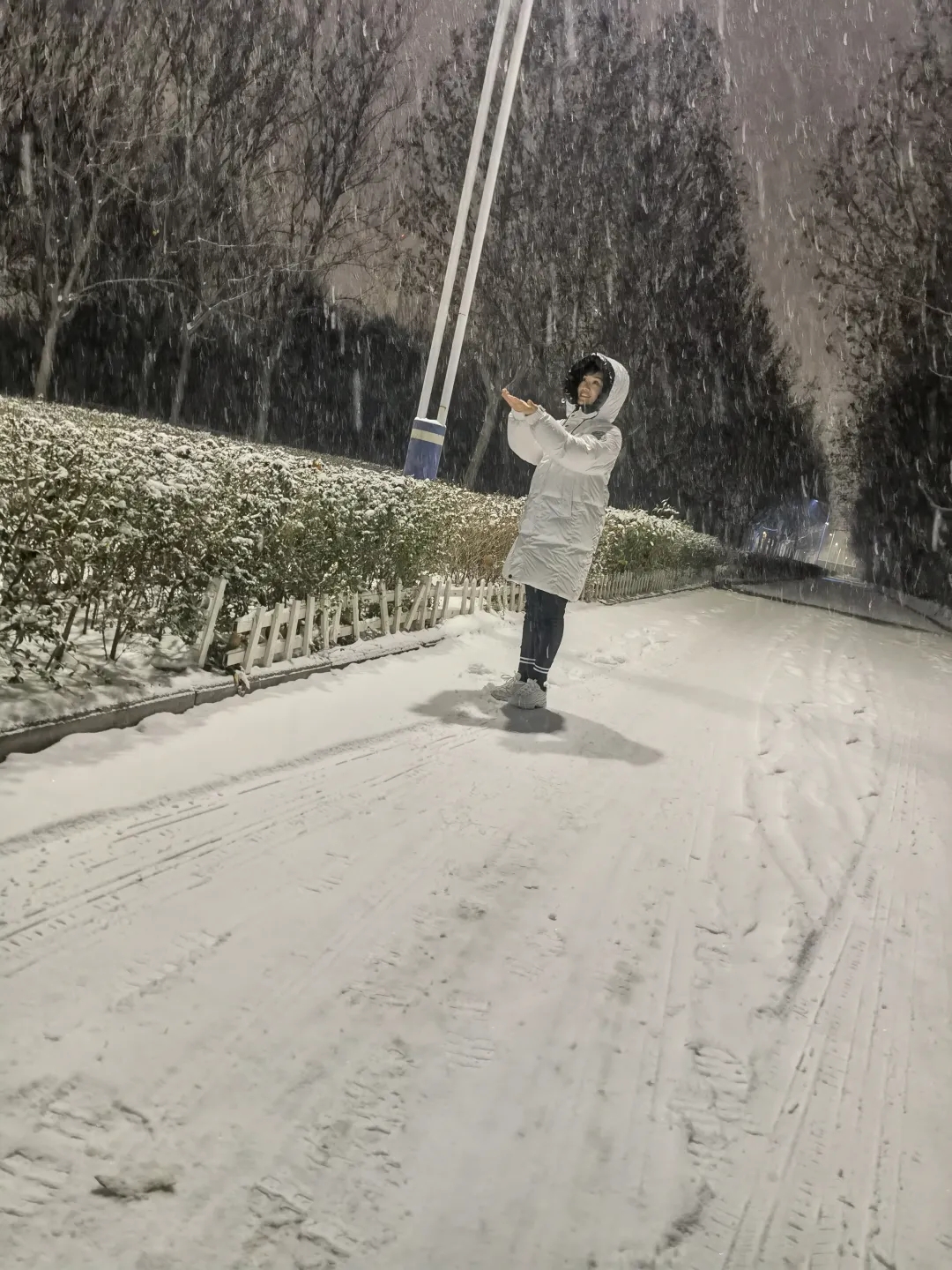 雪中人