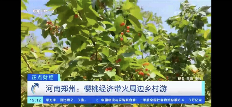 五一假期“央视”新闻里的河南文旅 五一假期“央视”新闻里的河南文旅