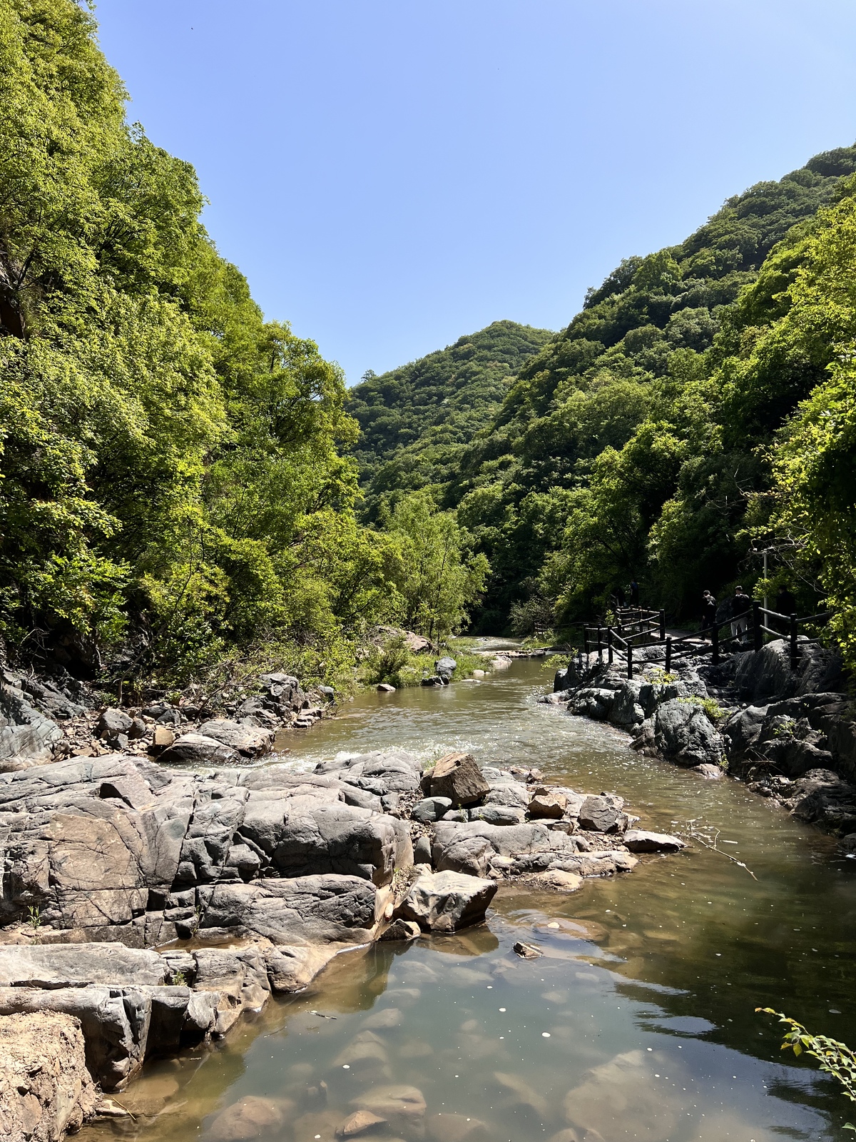 郑卢文化旅游推介会成功举办