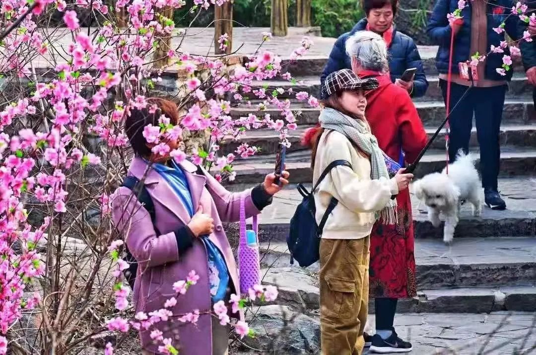 行走河南·读懂中国 | 新乡南太行：最美春日等您赴约