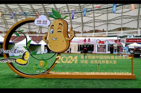 河南省农村社会事业发展服务中心组织参加第十四届中国国际薯业博览会