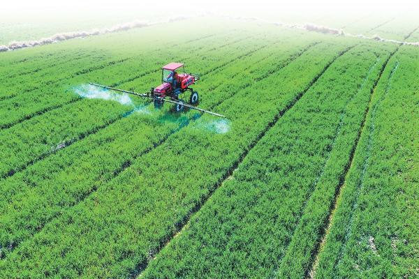 Farmers Busy in Fields in Guangshan 